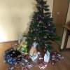 IMG_20171222_111459